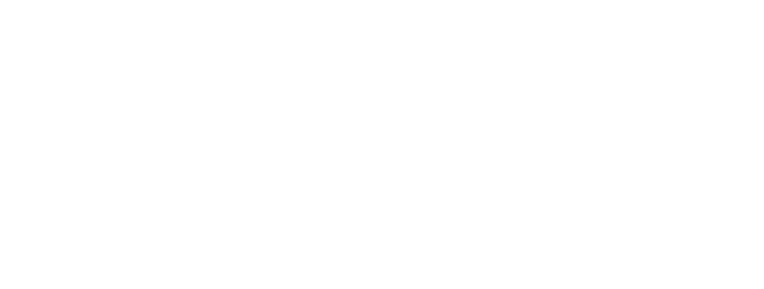 Cogitech srl